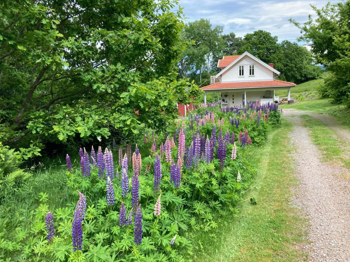 Ny Flintarp Vila Laholm Exterior foto